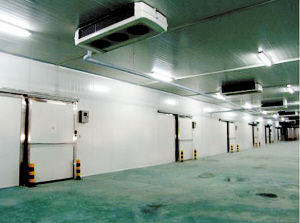 ������������������������������