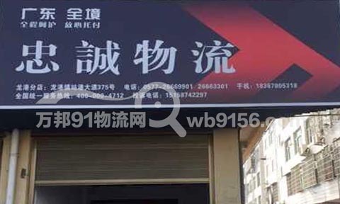龙港到深圳物流公司,忠诚物流