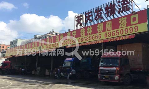 龙港到乌鲁木齐物流公司,天天发物流